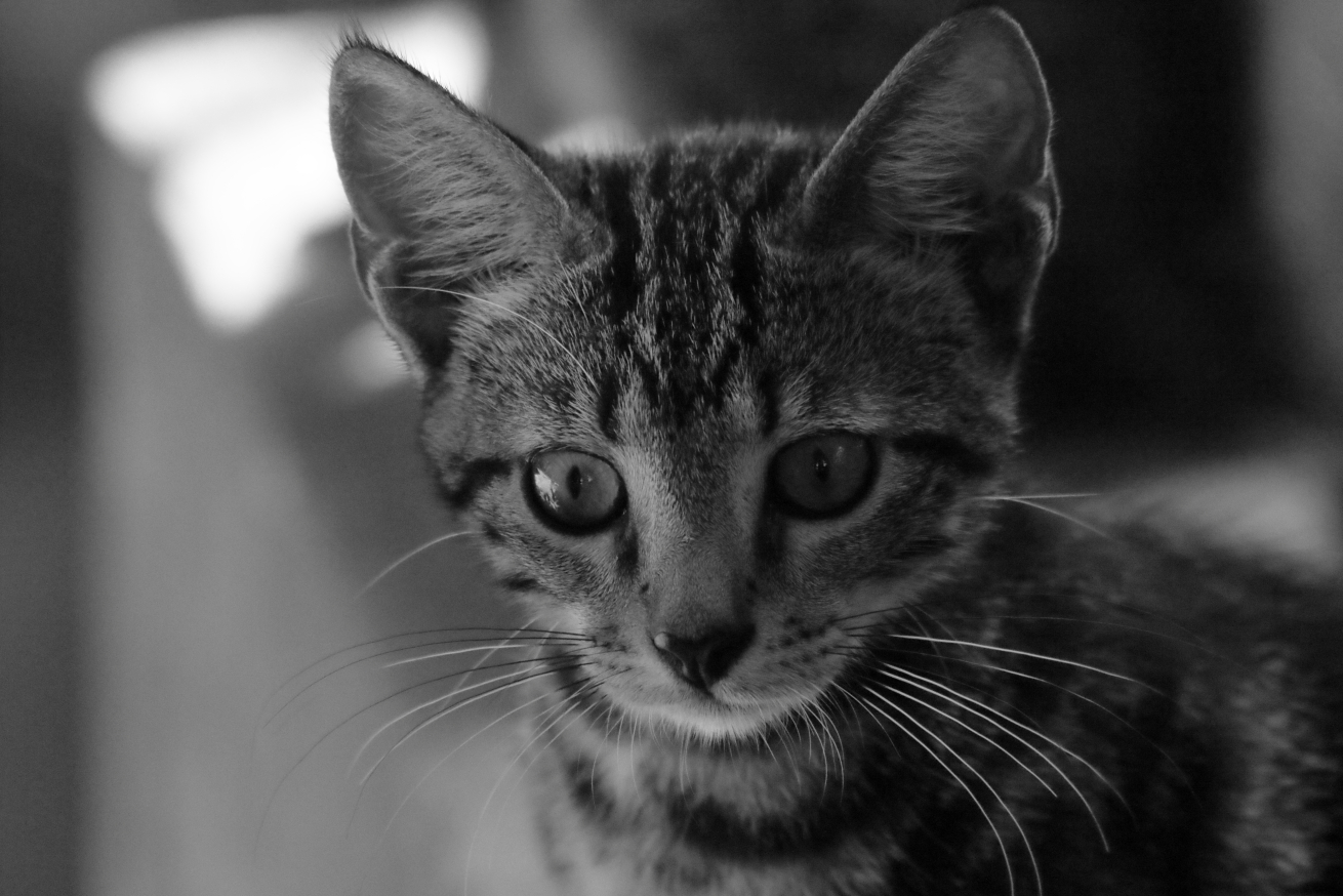 2015 08 31 HTP 04287ebw